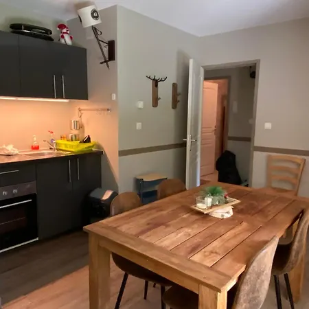 Les Esplaneilles Avec Parking- Terrasse Et Jardin 아파트 *